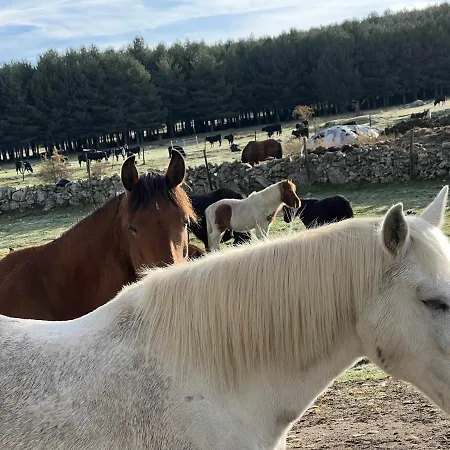 Appartement El Nido De Gredos Cuco Con Chimenea