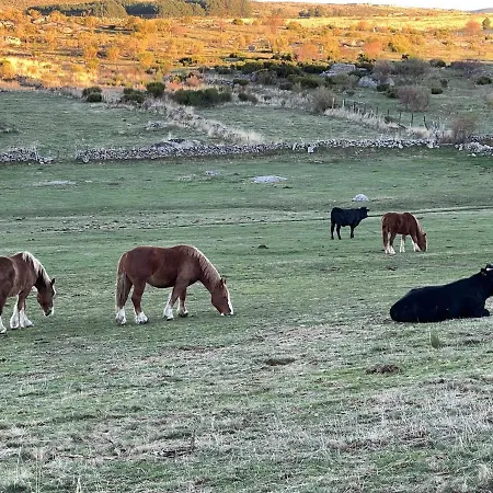 El Nido De Gredos Cuco Con Chimenea Apartment Navarredonda de Gredos