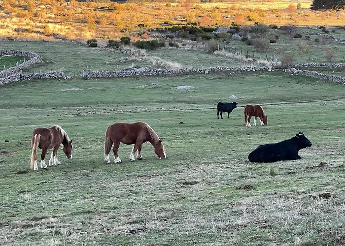 El Nido De Gredos Cuco Con Chimenea 아파트 나바레돈다 데 그레도스
